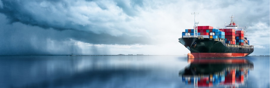 International Ocean Shipping Services to Venezuela | Nex Worldwide Express